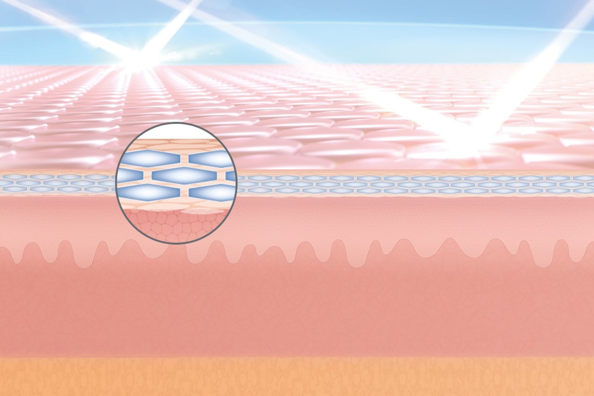 Lamellar Structures