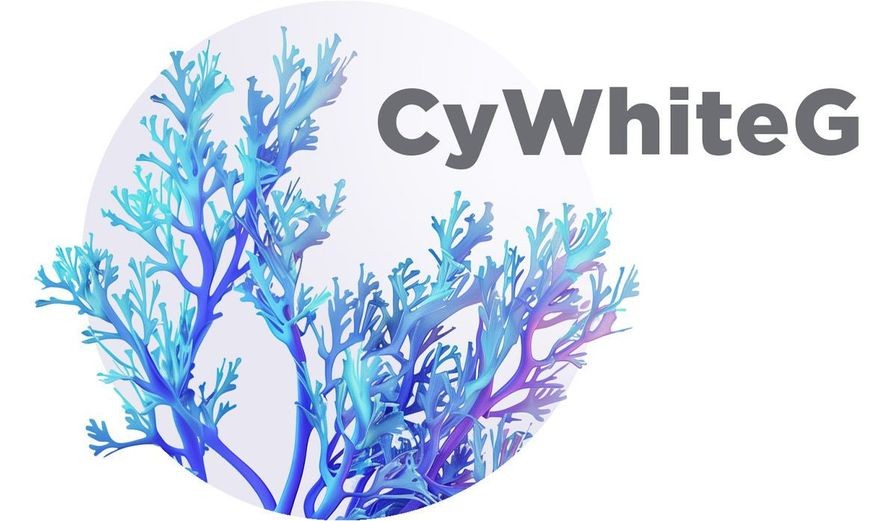 CyWhite