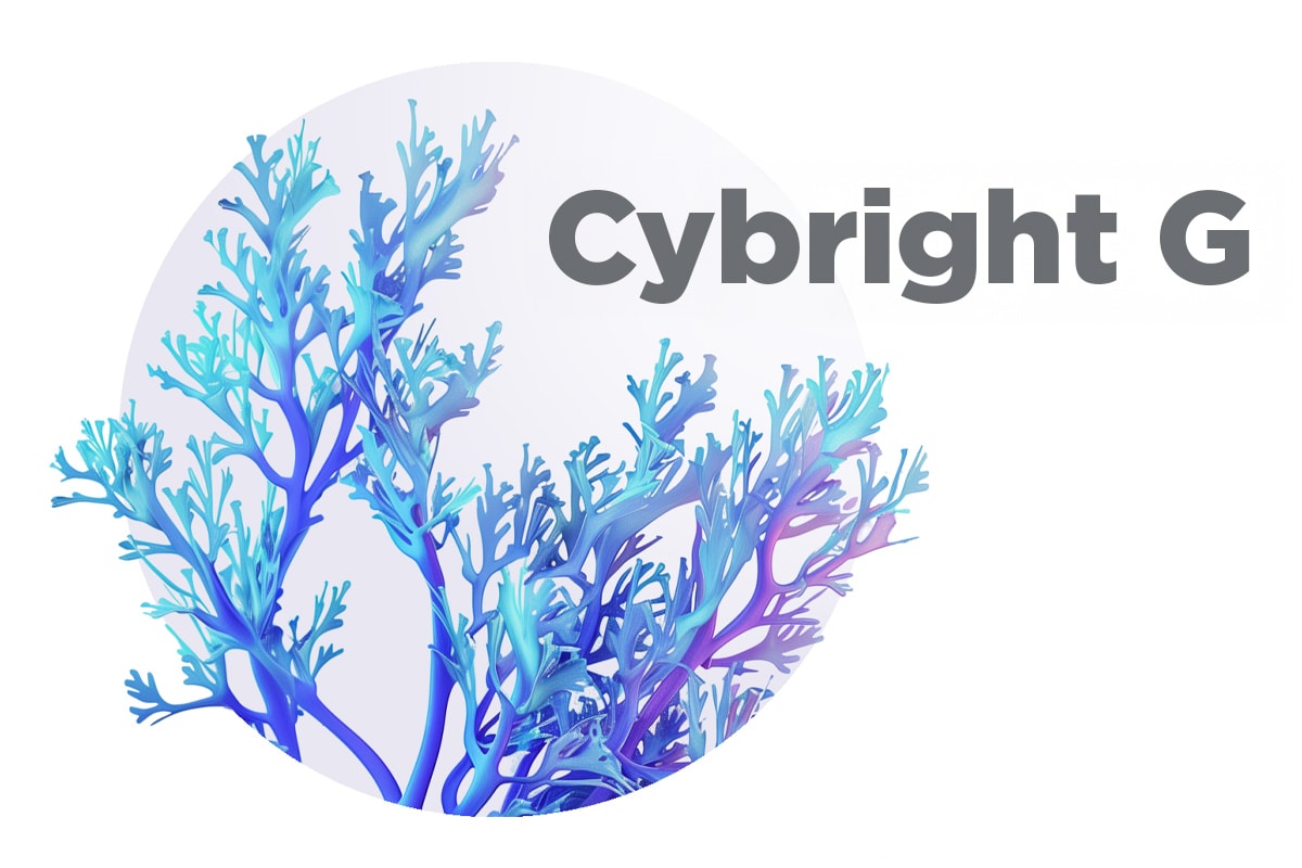 ingred cybrightg 1200x800 1