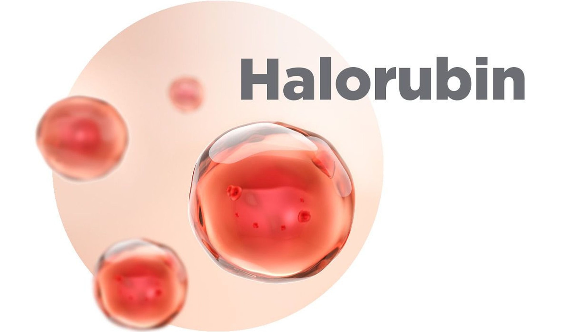 ingred halorubin 1200x800 1